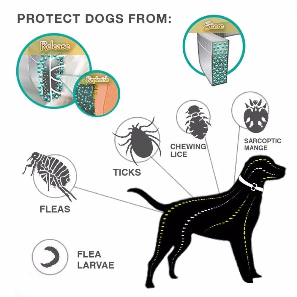 Adjustable Anti-Insect Collar for Cats & Dogs