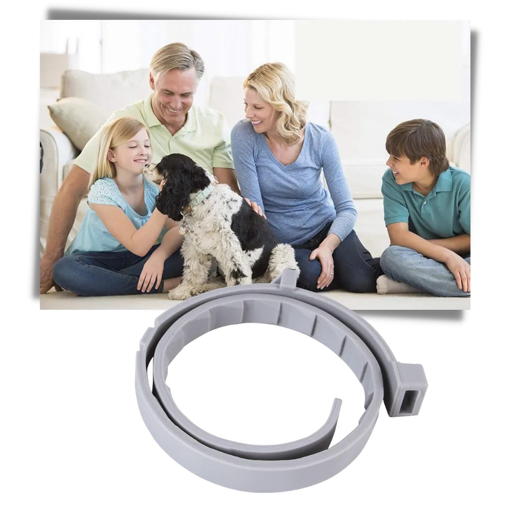 Anti-Flea Collar for Pets