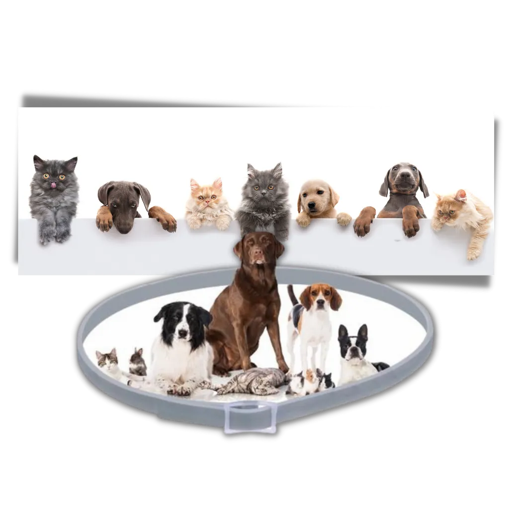 Anti-Flea Collar for Pets