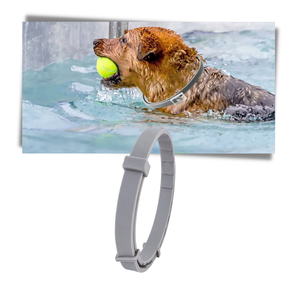 Anti-Flea Collar for Pets