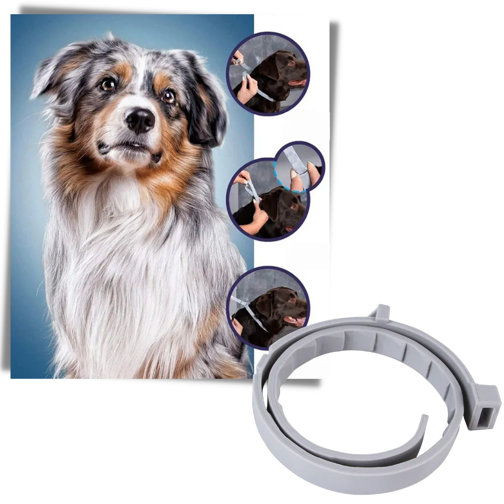 Anti-Flea Collar for Pets