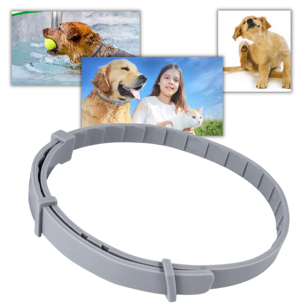 Anti-Flea Collar for Pets