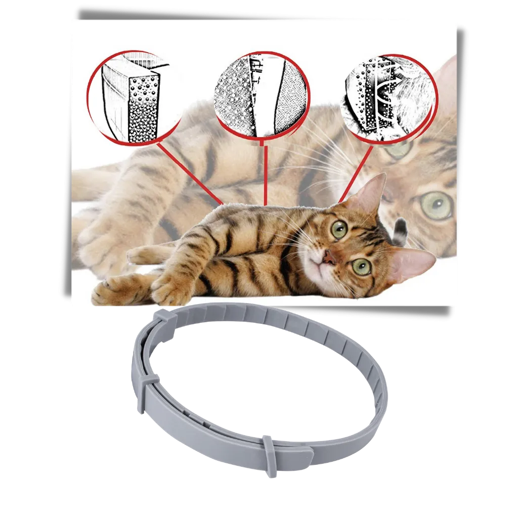Anti-Flea Collar for Pets