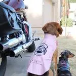 Biker Dawg Motorcycle Dog Jacket Black