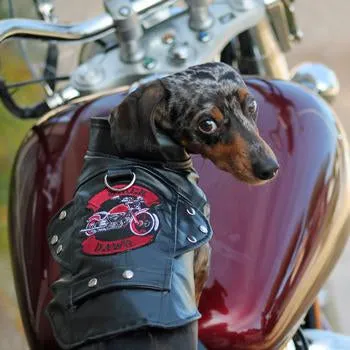 Biker Dawg Motorcycle Dog Jacket Black