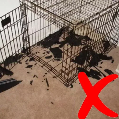 Brown's Dog Crate | Premium Medical Galvanised Iron Extra Strong Dog Crate