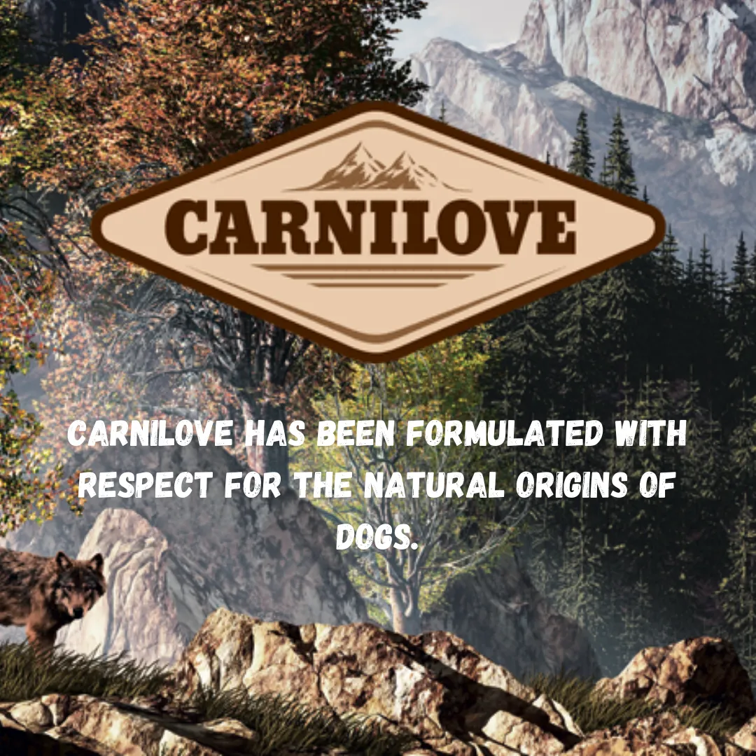 Carnilove Lamb and Wild Boar Tin