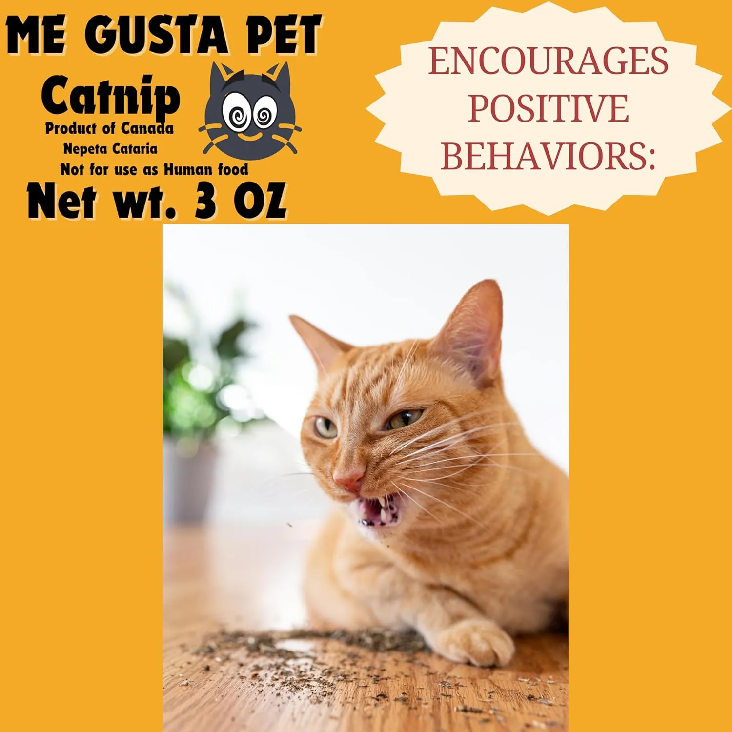 Catnip Stalkless Dried Ground Premium Bulk 3 Ounce Bag Strong Cat nip for Cats | Catnip Kitty Safe | All-Natural Cat Nip | Finely Ground Without Stalks or Stems (3 Ounce)
