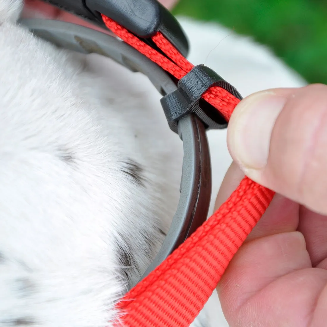 Coastal Pet SecureAway Flea Collar Protectors