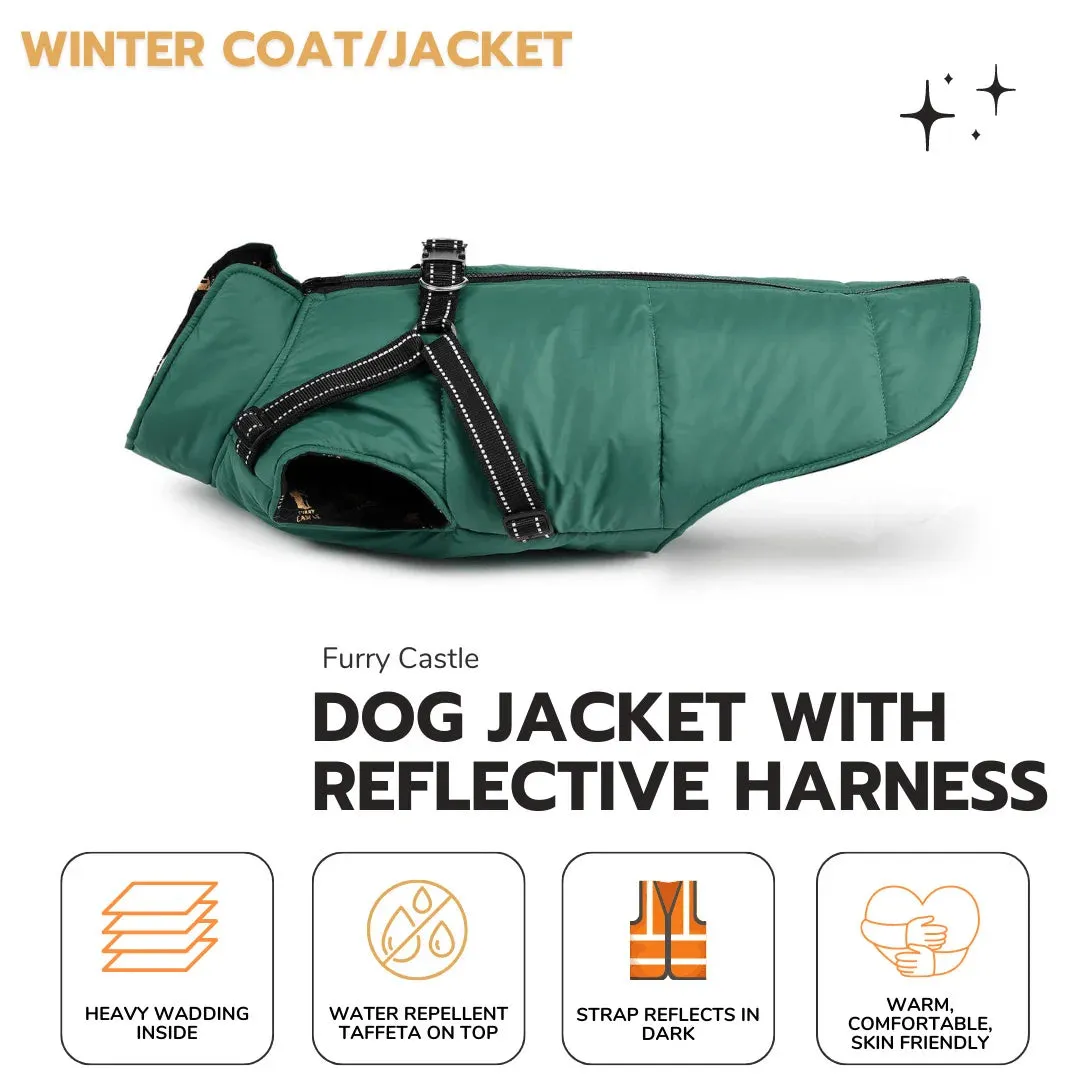Dog Jacket with reflective harness - Green