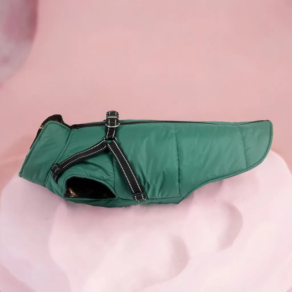 Dog Jacket with reflective harness - Green