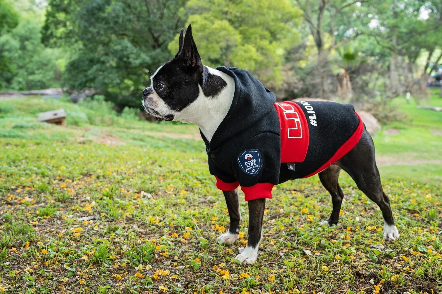 DOGS LIFE LIONS PRIDE HOODIE L