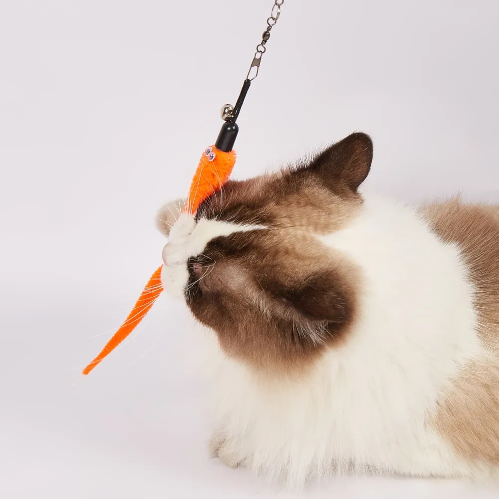 Fofos Retractable Worm Teaser for Cats