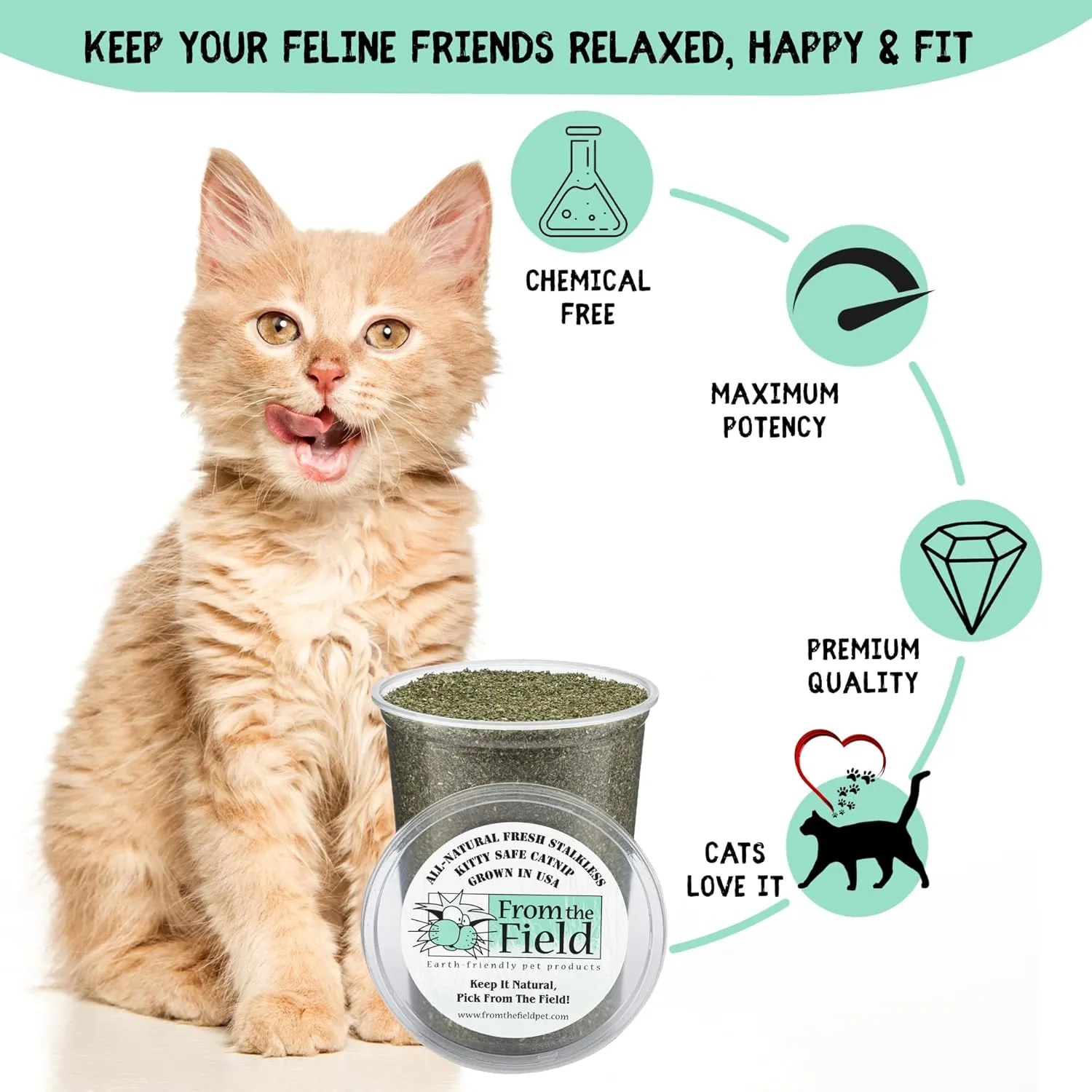 from The Field | Fine Ground Stalkless Catnip | Premium USA-Grown Catnip for Toys & Playtime | Fresh, Potent, Non-Toxic, Eco-Friendly | Safe for Kittens & Cats | Resealable 2 Oz Tub