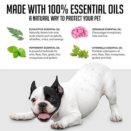 GetOff Natural Flea Collar for Dogs (8 Months) Flea and Tick Prevention - with Essential Oil Plant Extracts - Hypoallergenic One Size Fits All Dog