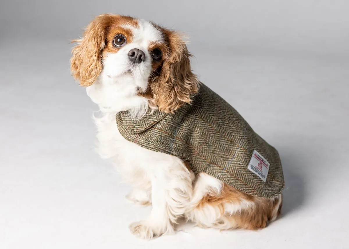 Harris Tweed Dog Coat - Green Herringbone