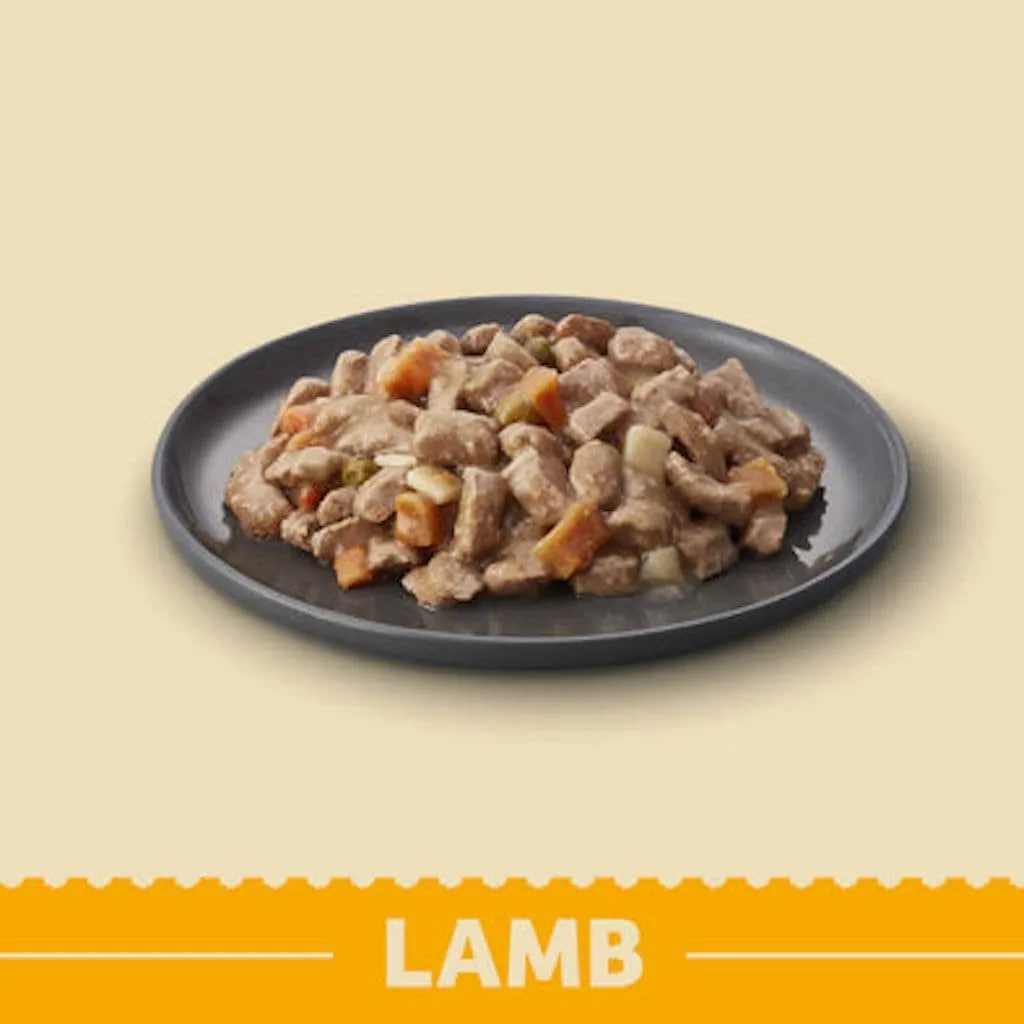 James Wellbeloved | Grain Free Dog Food Pouches | Lamb in Gravy - 100g Pouch Bulk Packs