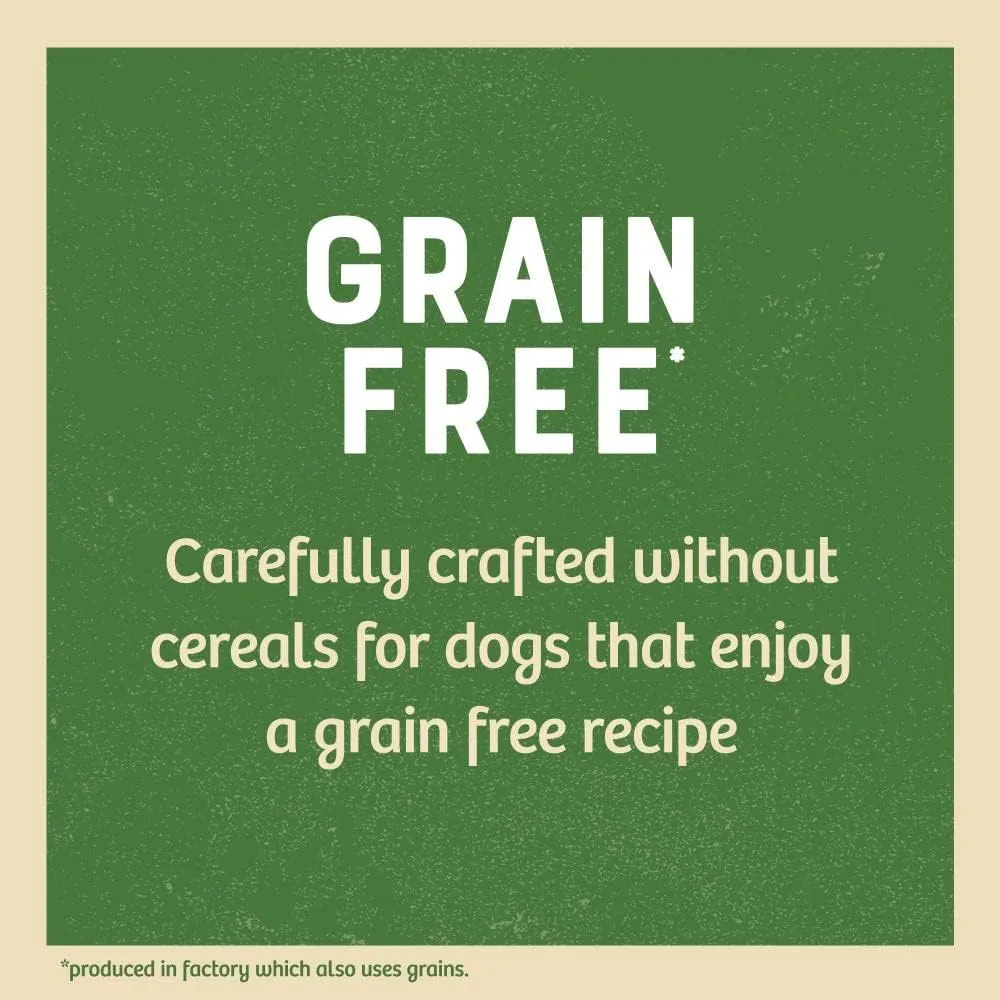 James Wellbeloved | Grain Free Dog Food Pouches | Lamb in Gravy - 100g Pouch Bulk Packs