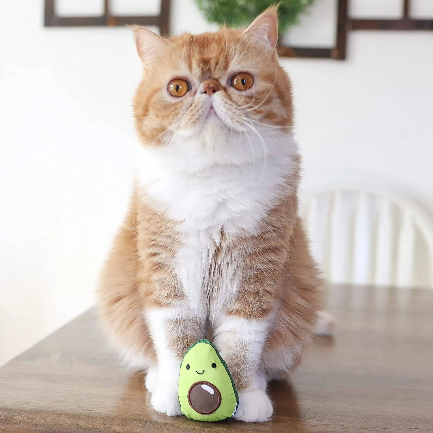 Lil' Avocato Dental Health Catnip Cat Chew Toy