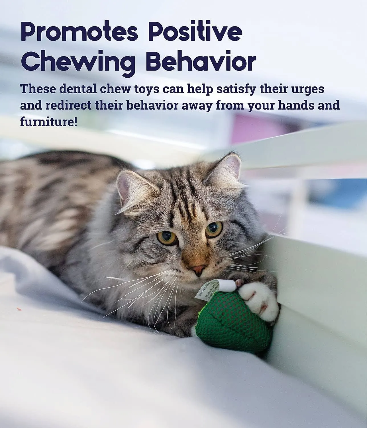Lil' Avocato Dental Health Catnip Cat Chew Toy