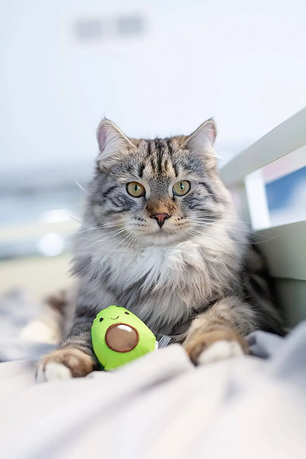 Lil' Avocato Dental Health Catnip Cat Chew Toy