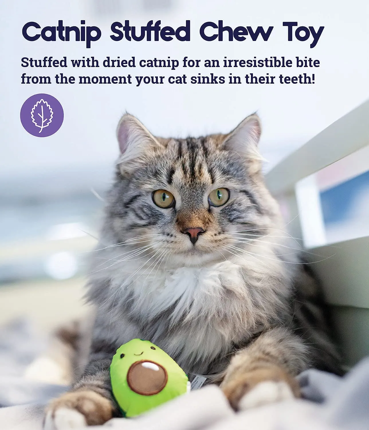 Lil' Avocato Dental Health Catnip Cat Chew Toy