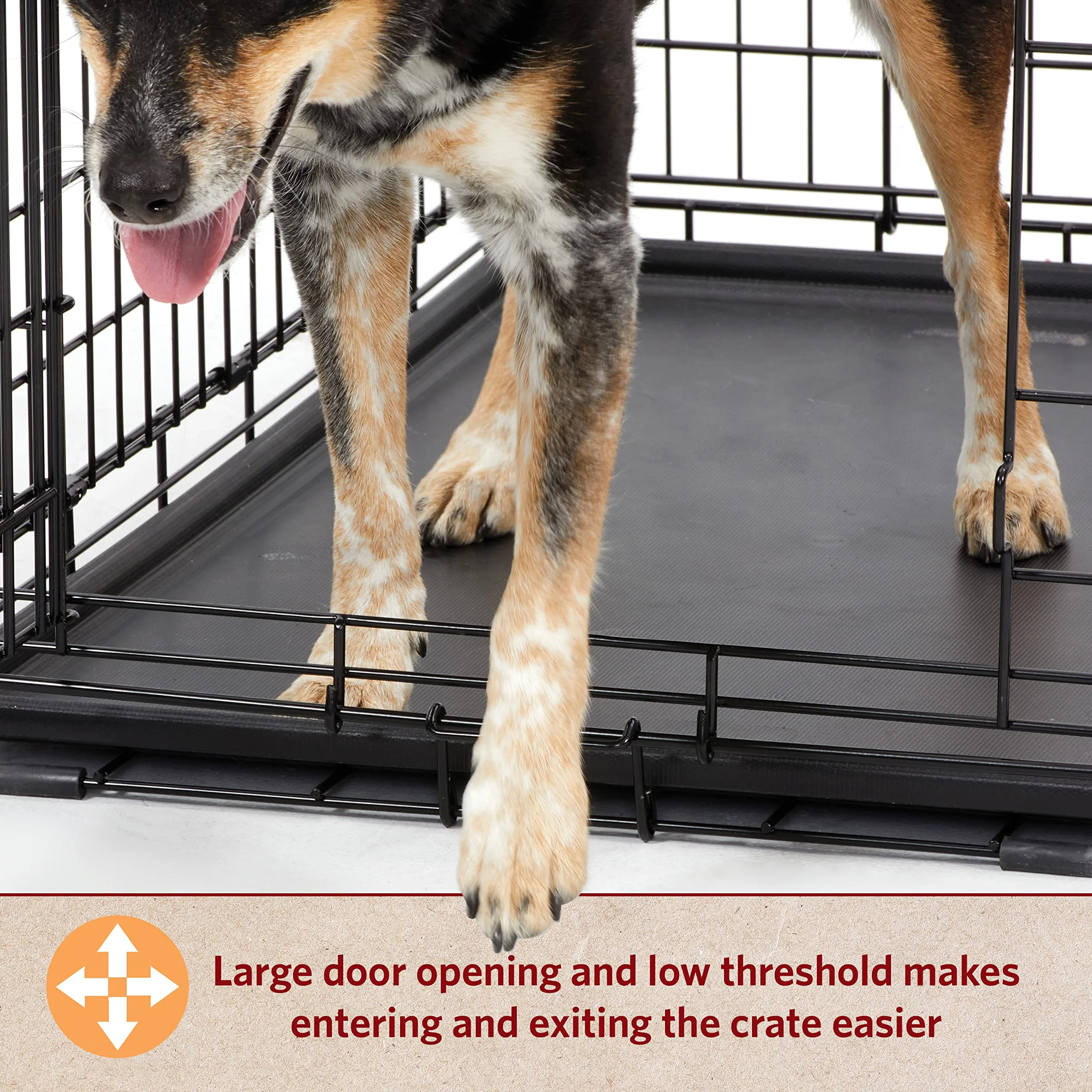 Midwest I-Crate Single Door Metal Folding Dog Crate with Divider Panel - 48" X 30" X 33" Inches