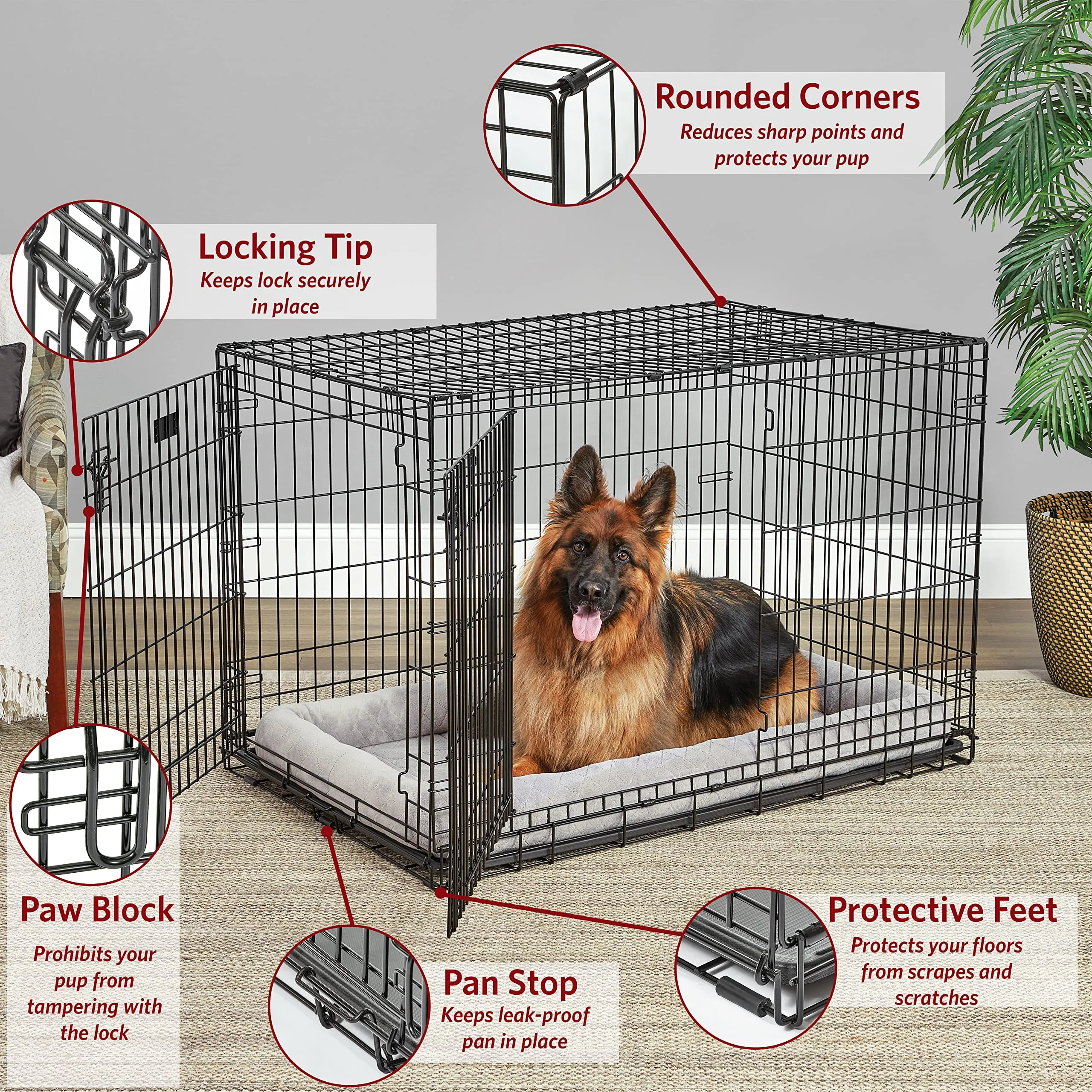 Midwest I-Crate Single Door Metal Folding Dog Crate with Divider Panel - 48" X 30" X 33" Inches