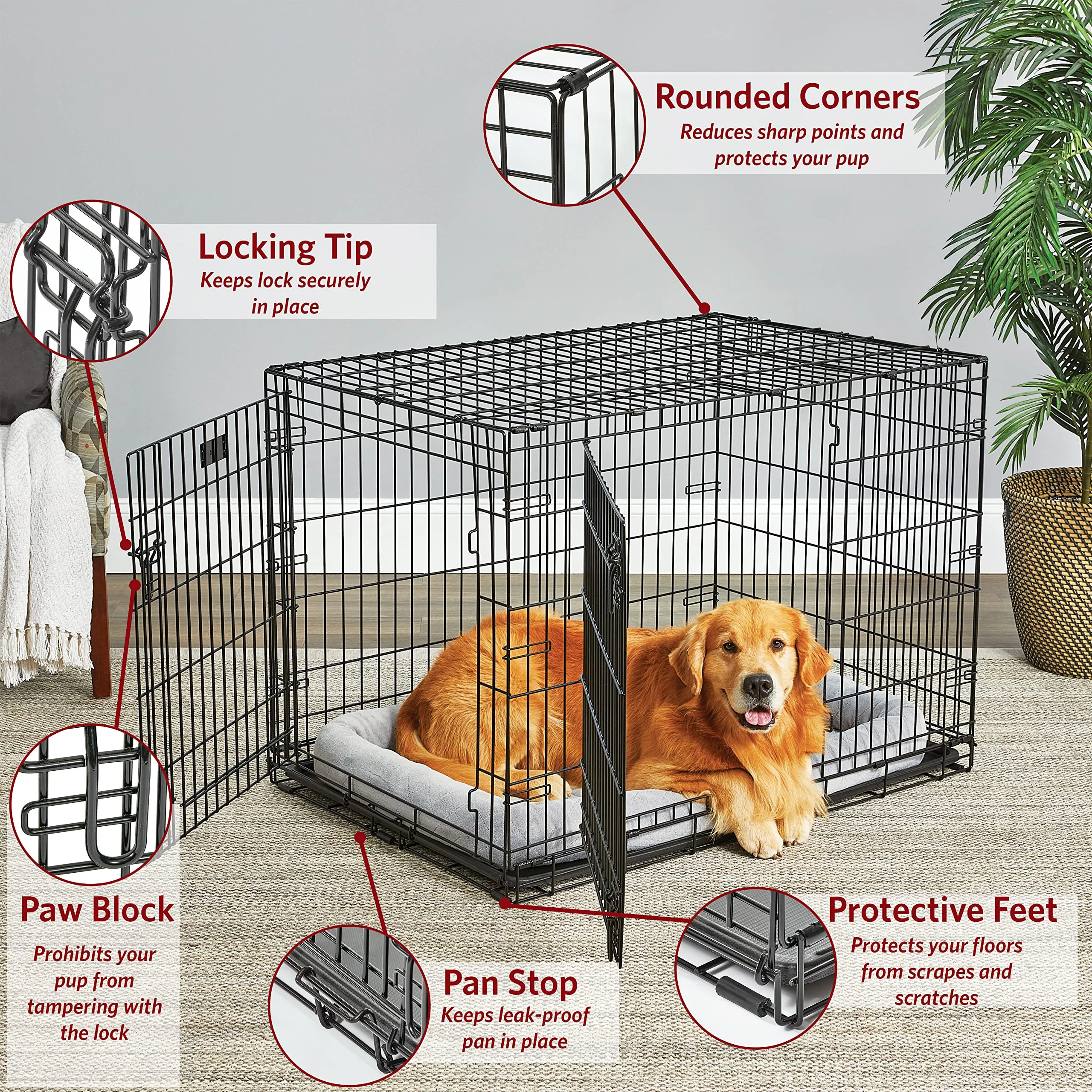 Midwest Lifestages Metal Folding Single Door Dog Crate with Divider - 42" X 28" X 31" Inches