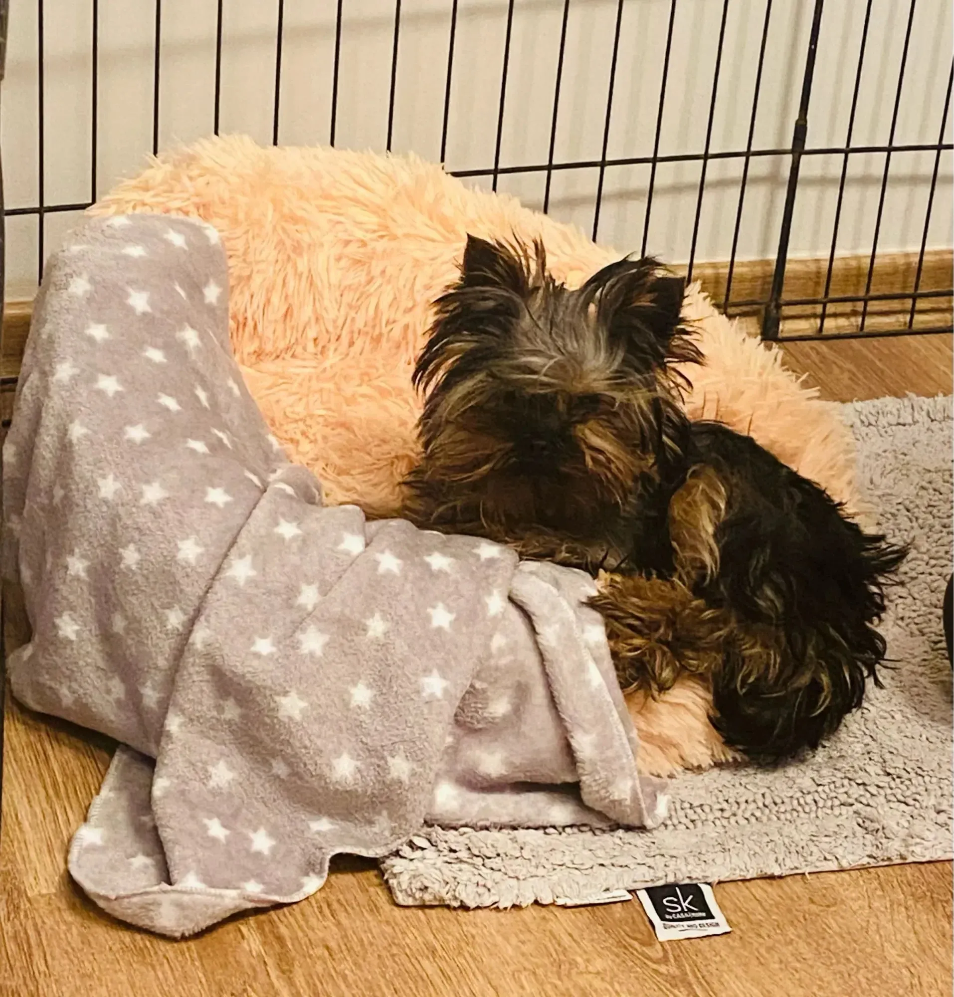 Orthopaedic Anxiety relieving Donut Dog Bed – Calming, Washable Comfort for Your Pet