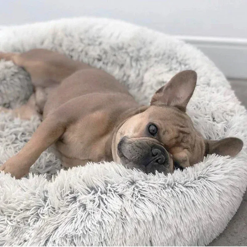 Orthopaedic Anxiety relieving Donut Dog Bed – Calming, Washable Comfort for Your Pet