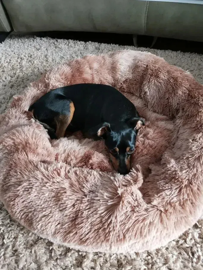 Orthopaedic Anxiety relieving Donut Dog Bed – Calming, Washable Comfort for Your Pet