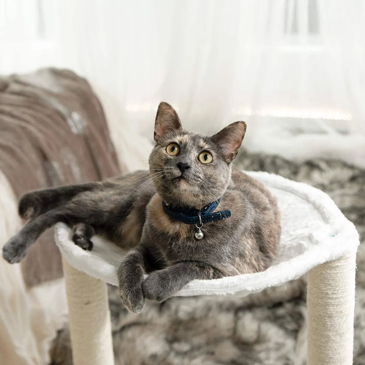 Paws & Pals 3-in-1 Cat Scratching Post with Hammock and Toy