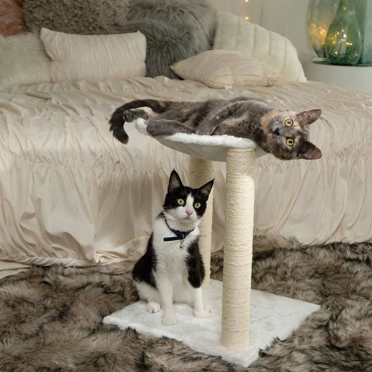 Paws & Pals 3-in-1 Cat Scratching Post with Hammock and Toy