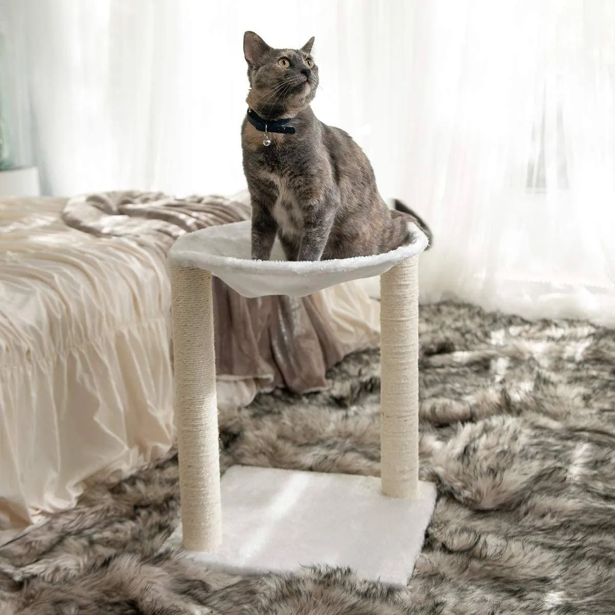 Paws & Pals 3-in-1 Cat Scratching Post with Hammock and Toy