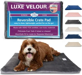 Pet Dreams Dog Crate Pad - Washable Kennel Mat, Crate Pads for Dog Cages, Non-Toxic, Flat Indoor Cat Bed, Fits iCrate 18, 24, 30, 36, 42, 48 Inches (Grey, Small, 24")