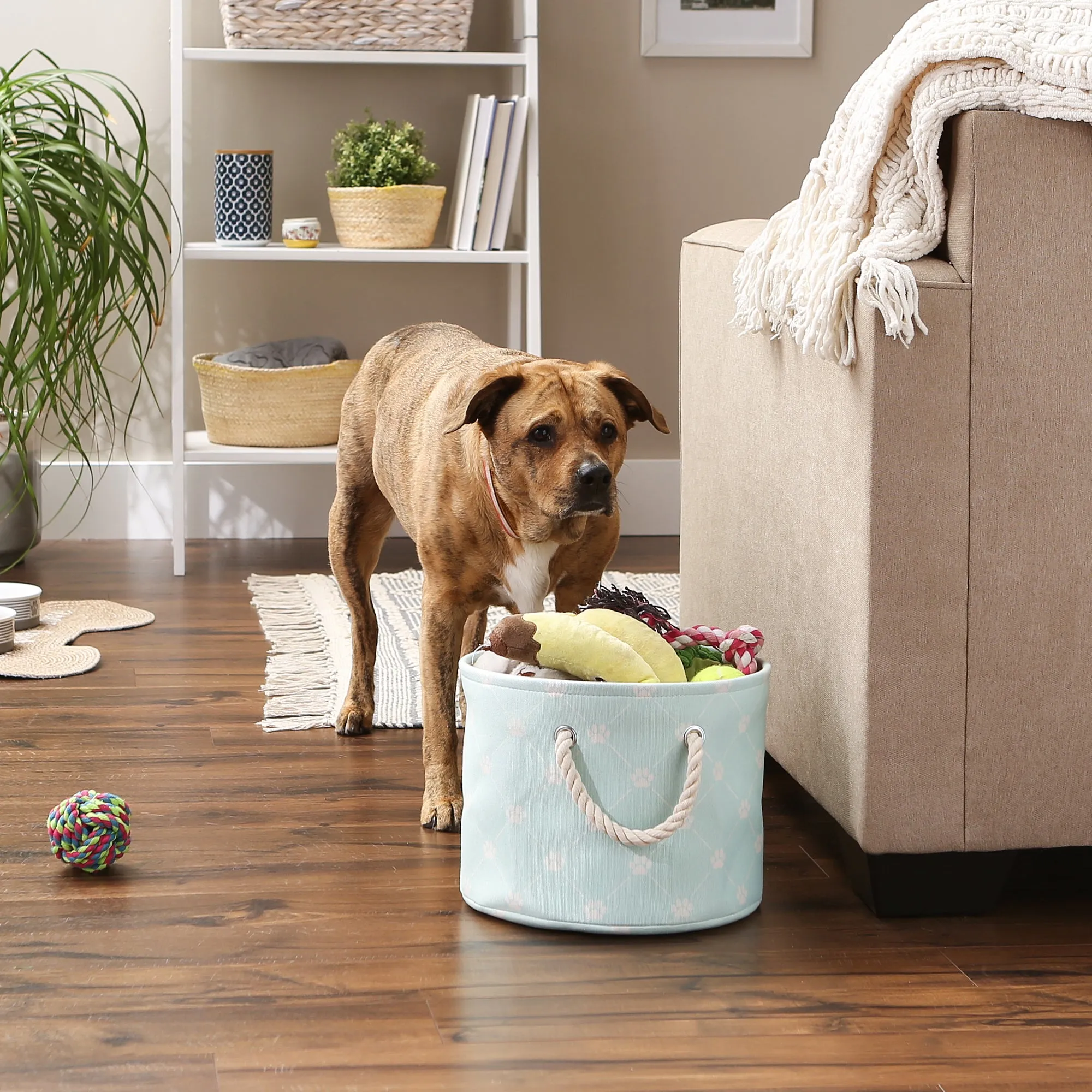 Polyester Pet Bin Trellis Paw Light Aqua Round Small 9X12X12
