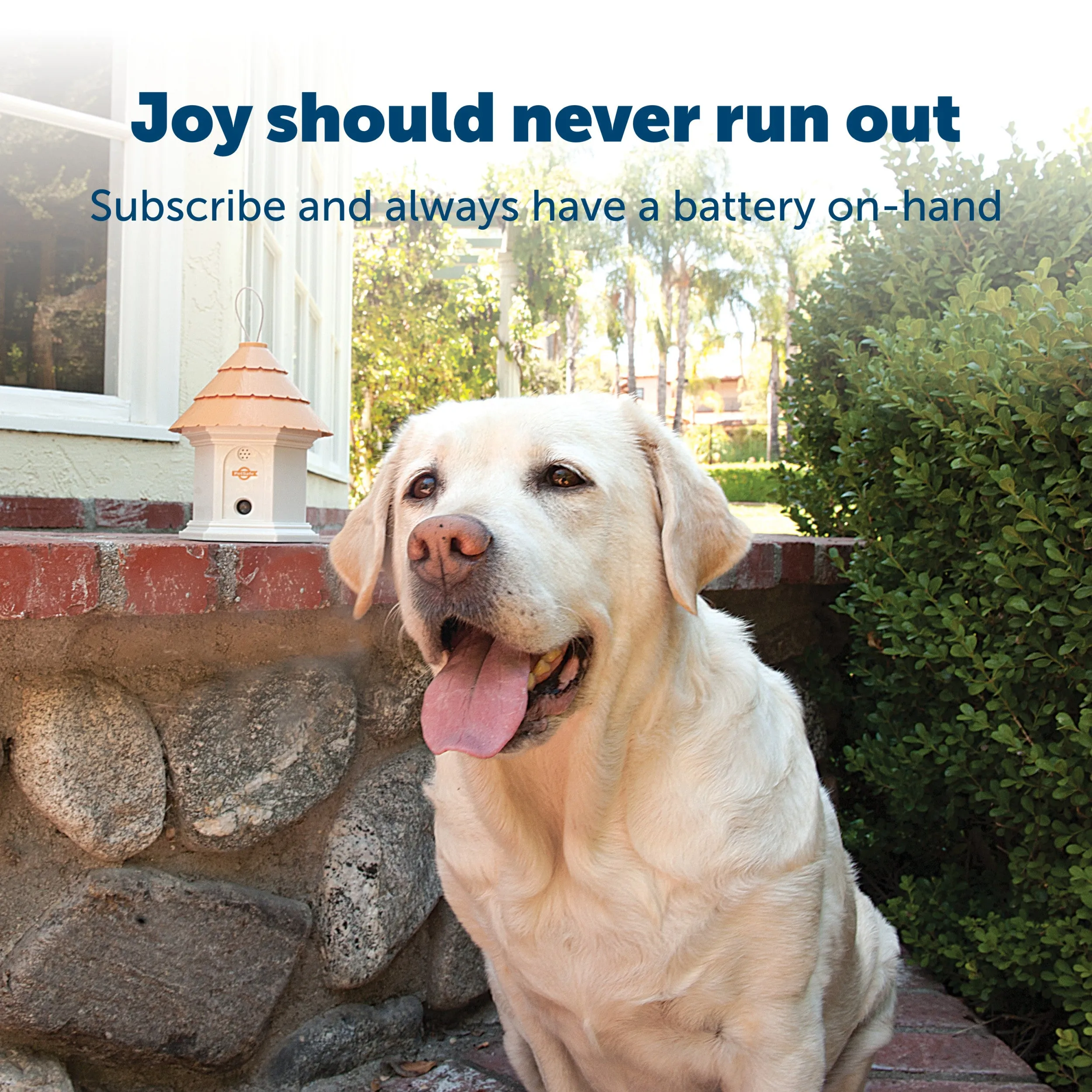 Replacement 9-Volt Battery for In-Ground Fence Collar