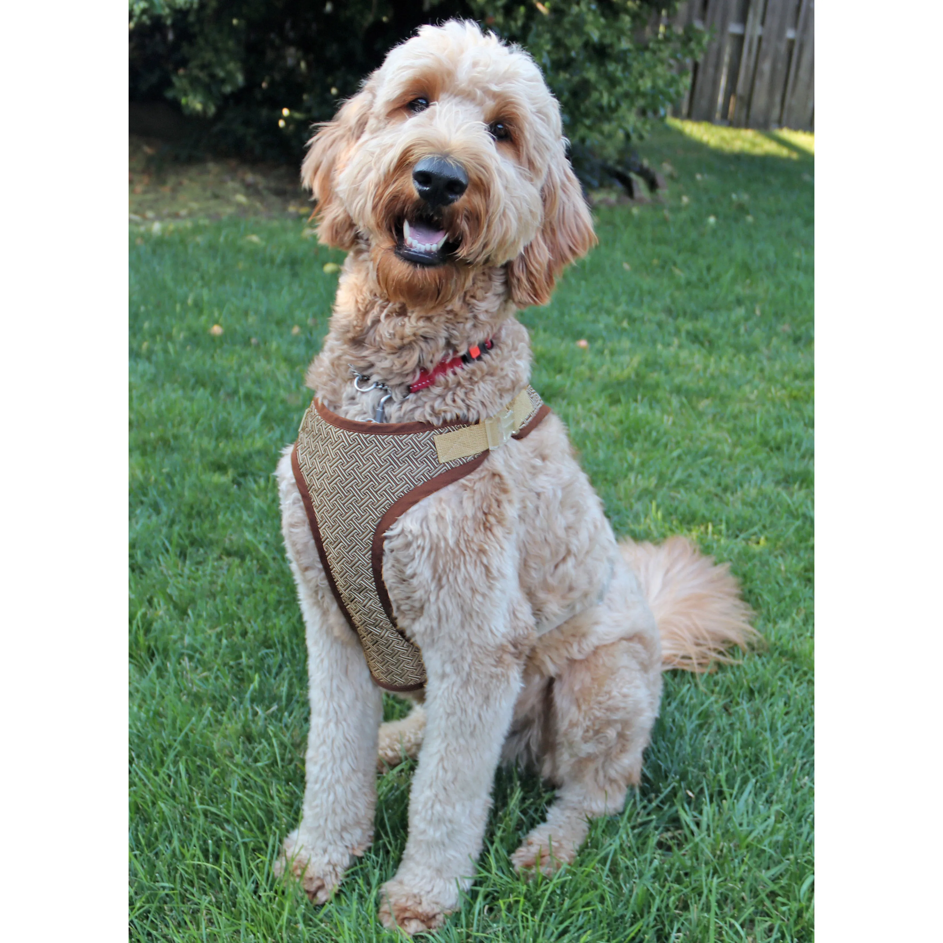 Simplicity Pattern S9664 Undefined Pet
