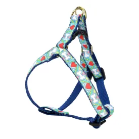 Teacup Harness | Coloring Book