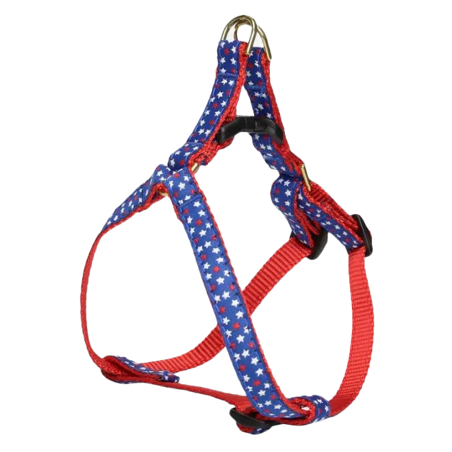 Teacup Harness | Stars