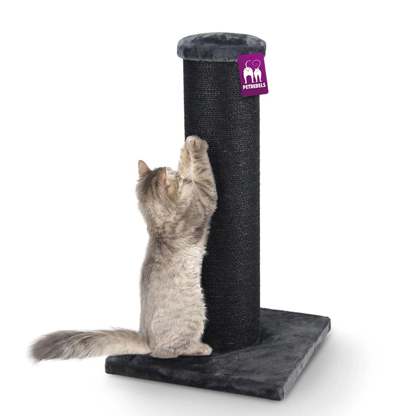 The Rebels Savannah 86cm Cat Tree