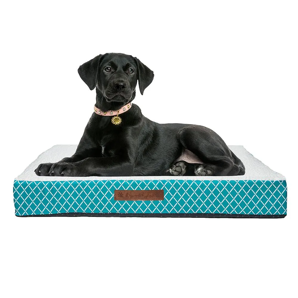 Wags & Whiskers Memory Foam Pet Bed - Assorted Styles