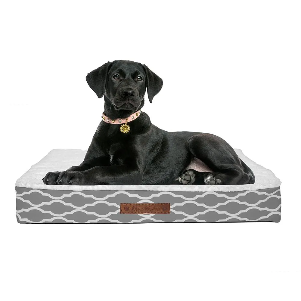 Wags & Whiskers Memory Foam Pet Bed - Assorted Styles