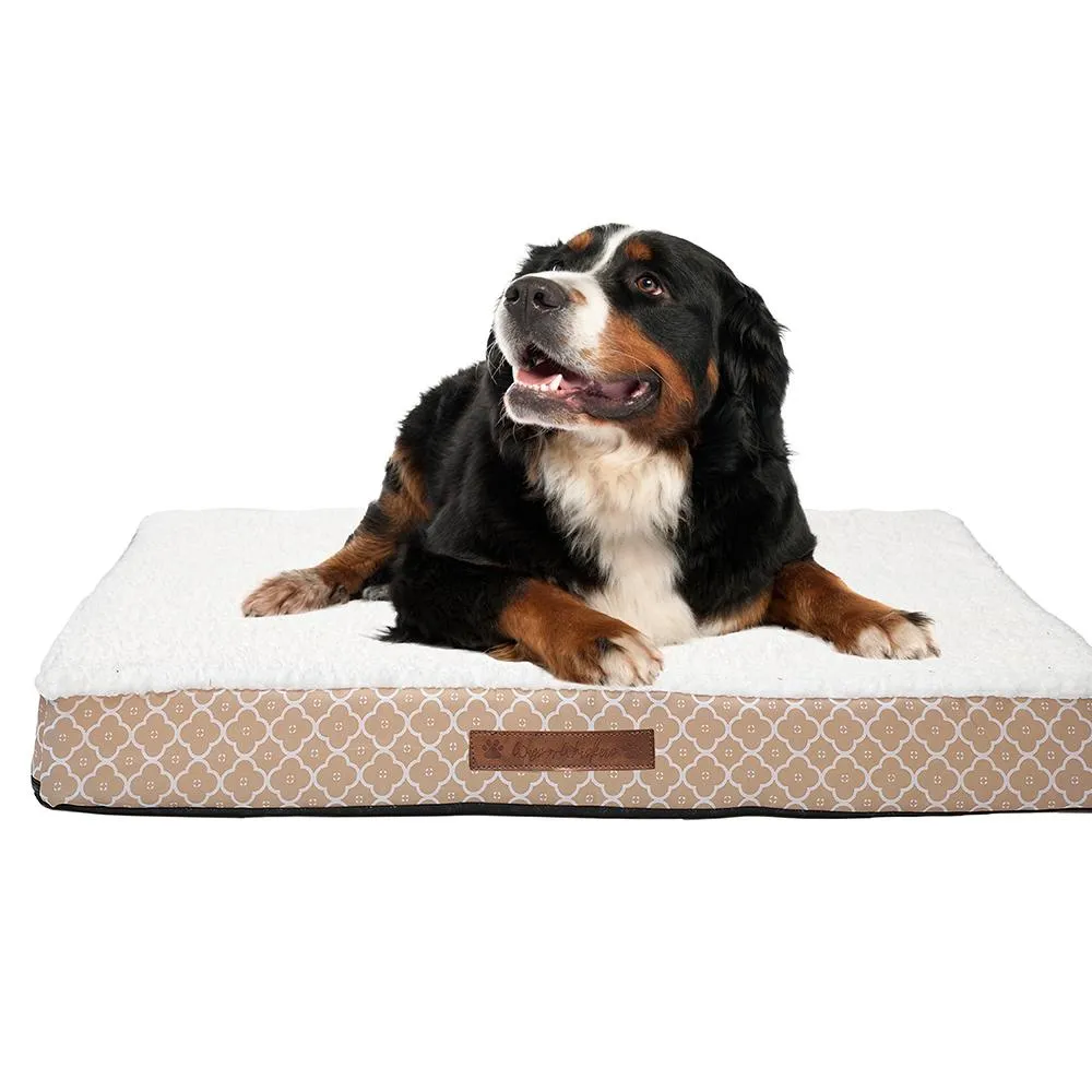 Wags & Whiskers Memory Foam Pet Bed - Assorted Styles
