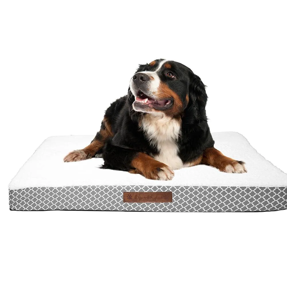 Wags & Whiskers Memory Foam Pet Bed - Assorted Styles