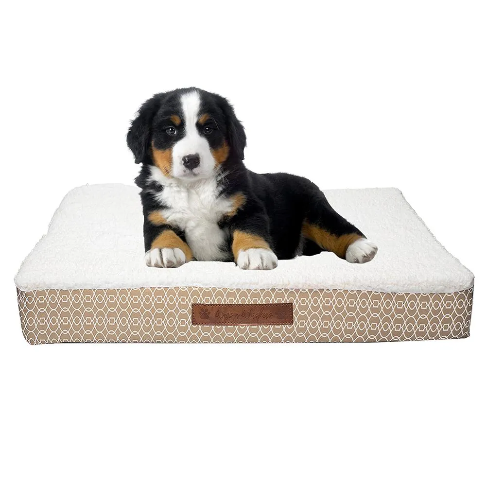 Wags & Whiskers Memory Foam Pet Bed - Assorted Styles