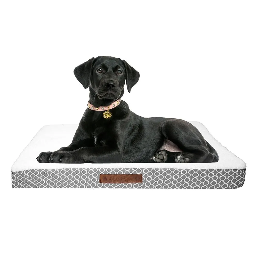 Wags & Whiskers Memory Foam Pet Bed - Assorted Styles