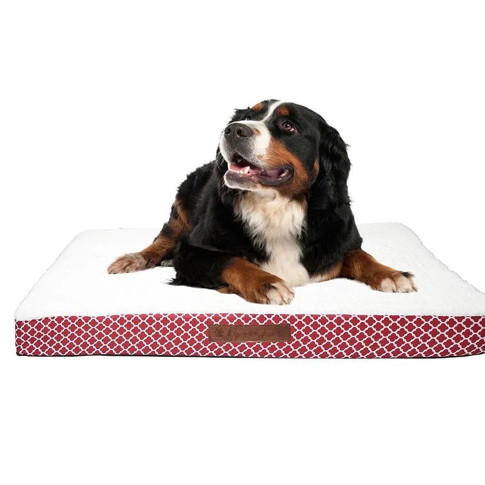 Wags & Whiskers Memory Foam Pet Bed - Assorted Styles