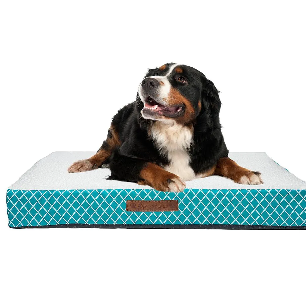 Wags & Whiskers Memory Foam Pet Bed - Assorted Styles
